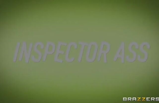 Inspector Ass