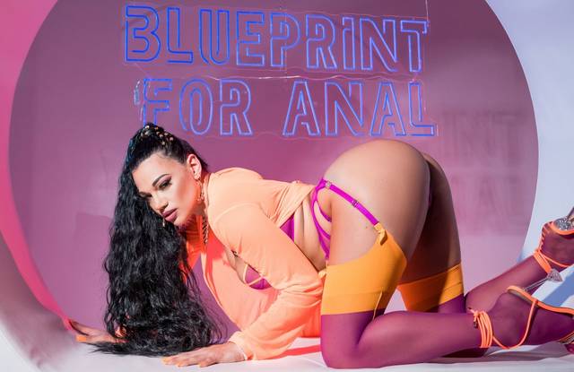 Blueprint For Anal: Part 1